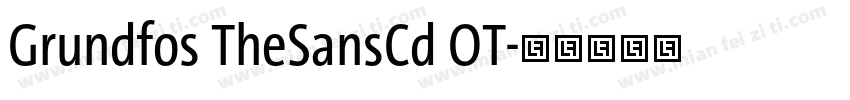 Grundfos TheSansCd OT字体转换